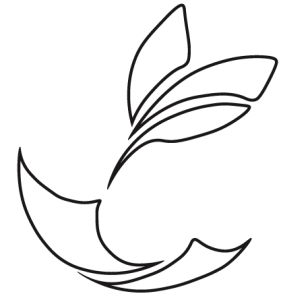Logo Parsemains Logo Parsemains, une jeune pousse naît d'une feuille de papier.