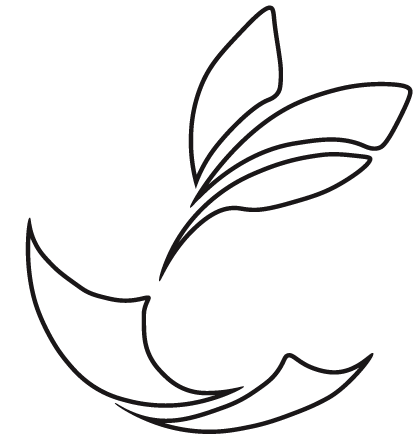Logo Parsemains, une jeune pousse naît d'une feuille de papier.